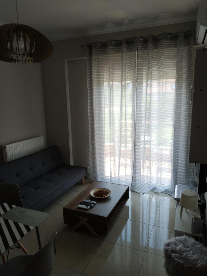 Διαμερισμα Στο Λιτοχωρο Με Εκπληκτικη Θεα Apartamento Litochoro Exterior foto